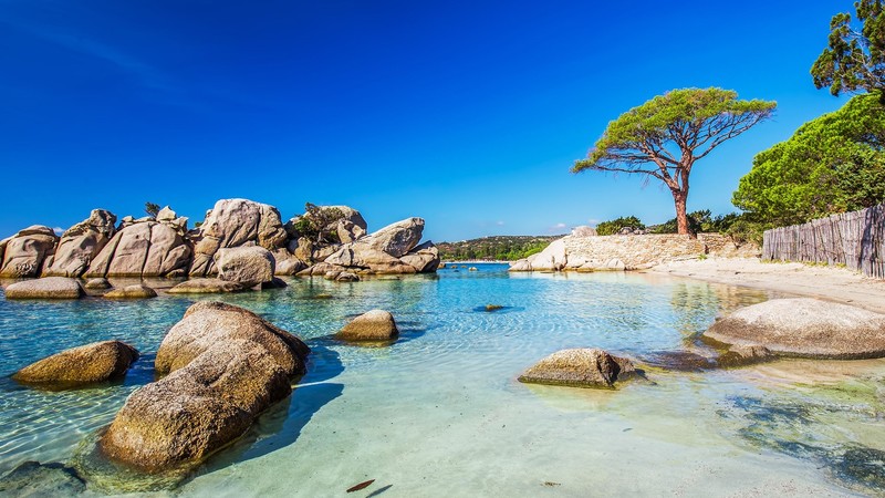nature, landscape, rocks, water, water ripples, clear sky, pine trees, trees, Corsica, France