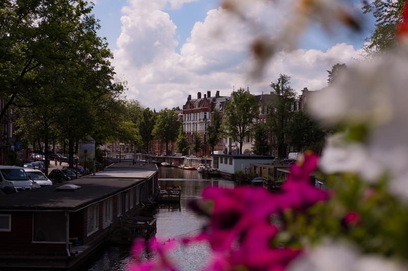 Amsterdam, city, street, photography, Netherlands, plants, bokeh