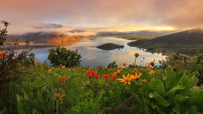 landscape, nature, river, clouds, mist, red flowers, yellow flowers, mountains, plants, Utah, USA, spring