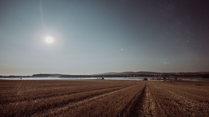 field, starry sky, grass, stars, night, horizon, 4k