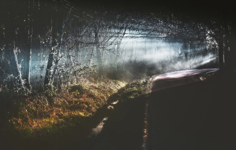 dark, road, trees, outdoors