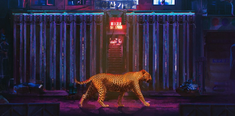 neon lights, animals, leopard, feline, big cats, walking, city, night