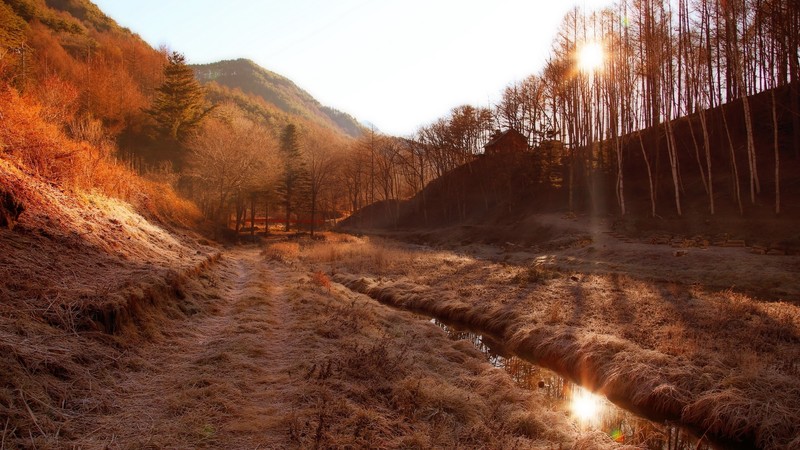 nature, sunlight, hills, stream, sky, trees, landscape, lens flare