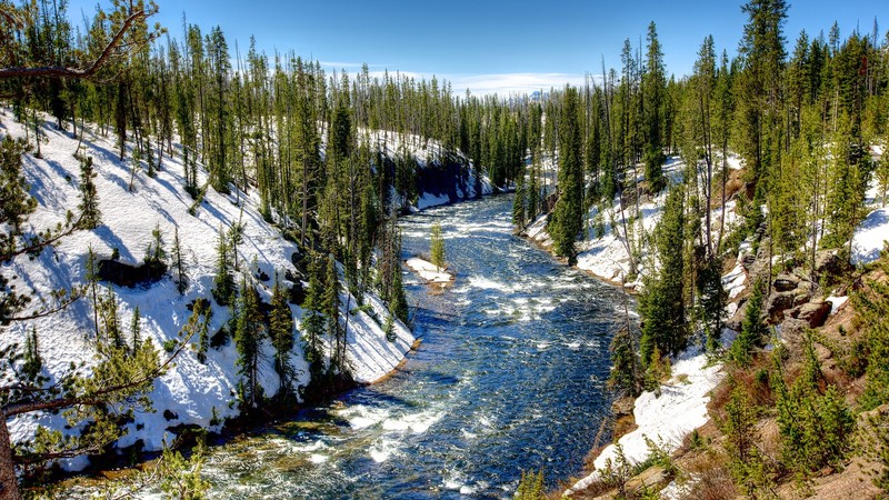 river, trees, sky, snow, nature, landscape, Paris, winter, Yellowstone National Park