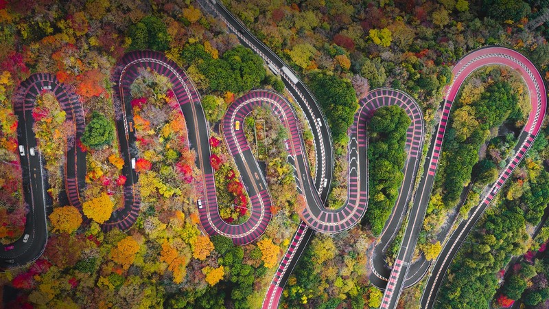 landscape, Kanagawa, Japan, trees, road, car, buses, curved, Fuji-Hakone Izu National Park, fall, mountains, nature, hairpin turns, zig zag, top view