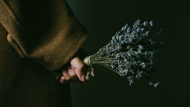 lavender, bouquet, hand, flowers, dark, 4k