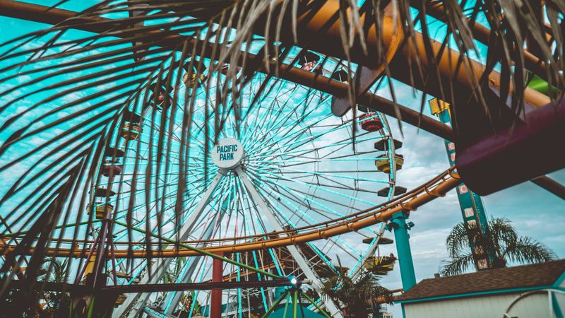 ferris wheel, attraction, palm tree, leaves, 4k