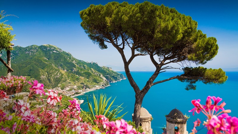 nature, landscape, water, mountains, trees, flowers, pink flowers, coast, Campania, Italy, clear sky