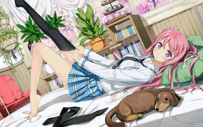 The "HENTAI" prince and the stony cat, anime, anime girls, 2D, artwork, vertical, bra, boobs