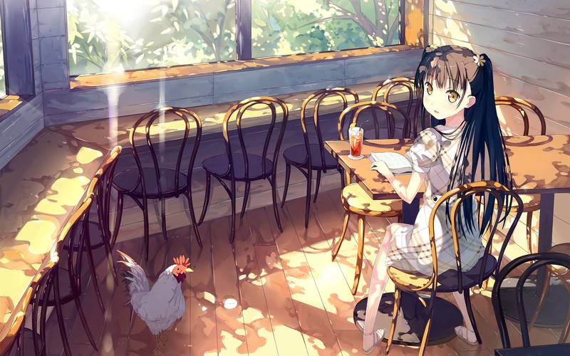 The "HENTAI" prince and the stony cat, anime, anime girls, 2D, artwork, vertical, bra, boobs