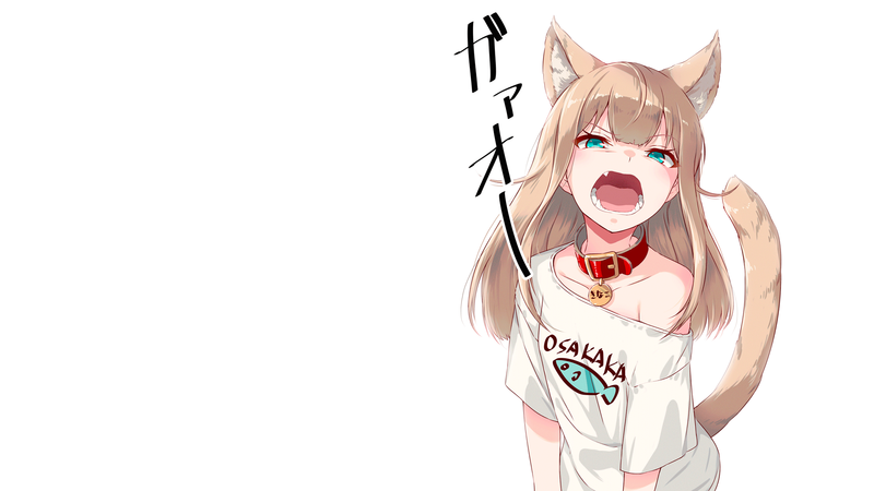anime, anime girls, simple background, white background, nekomimi, cat ears, animal ears, fangs, cat tail, open mouth, green eyes, Kinako