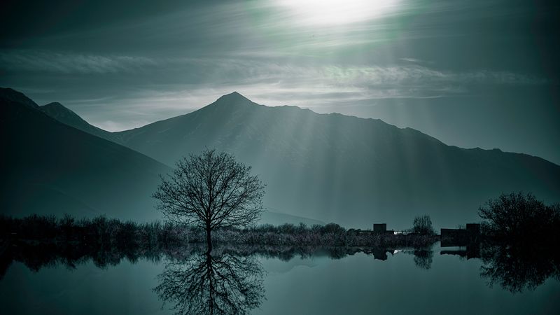 tree, fog, lake, mountains, twilight, 4k