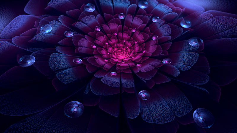 neon, flowers, digital art