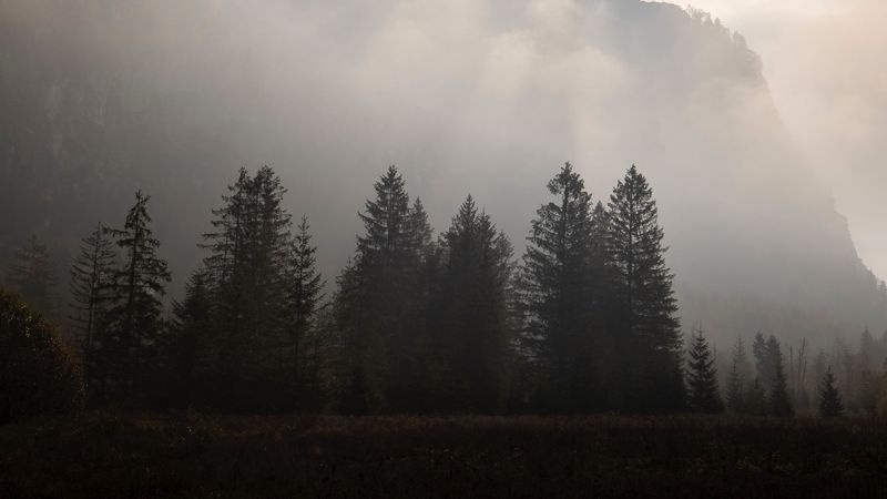 mountains, fog, trees, sky, dark, 4k