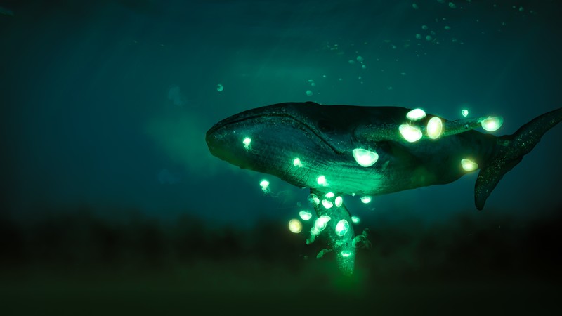 neon, whale, jellyfish, digital art