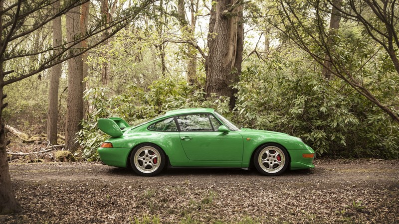 car, Porsche, Porsche 911 Carrera RS, forest, green cars, vehicle, trees