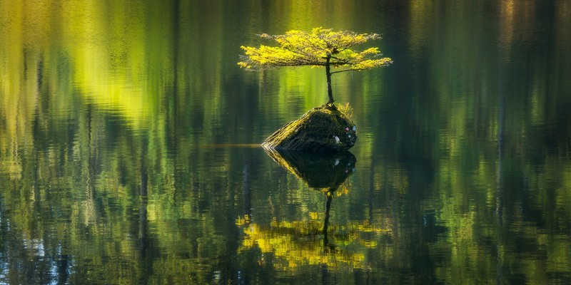 500px, Vancouver Island, Canada, nature, water, landscape, plants