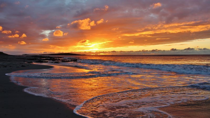 waves, foam, sunset, shore, 4k