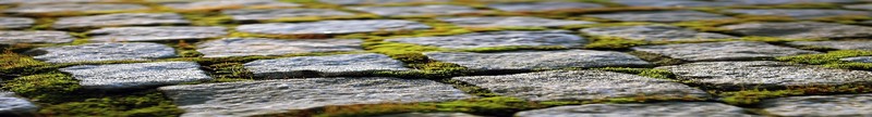 Stone road, moss, daylight, stone, macro, cobblestone
