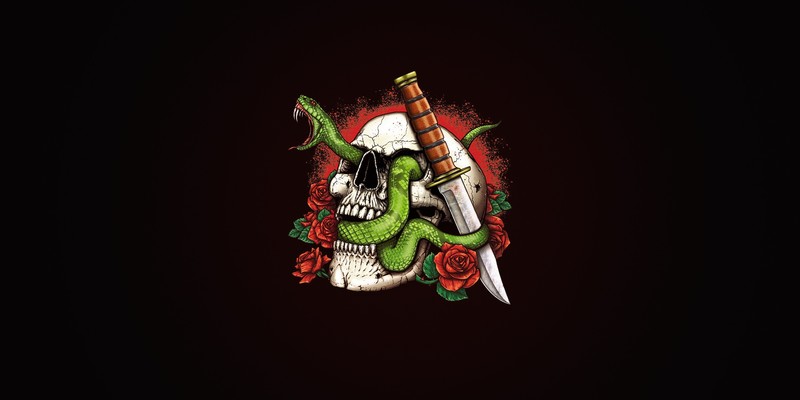 skull, bones, artwork, minimalism, knife, rose