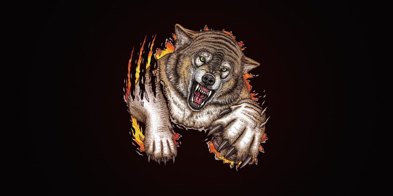 artwork, minimalism, animals, wolf