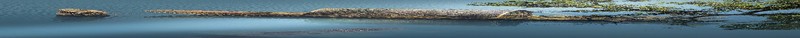 crocodile, water, boat, branch, calm, calm waters, nature, vehicle, animals