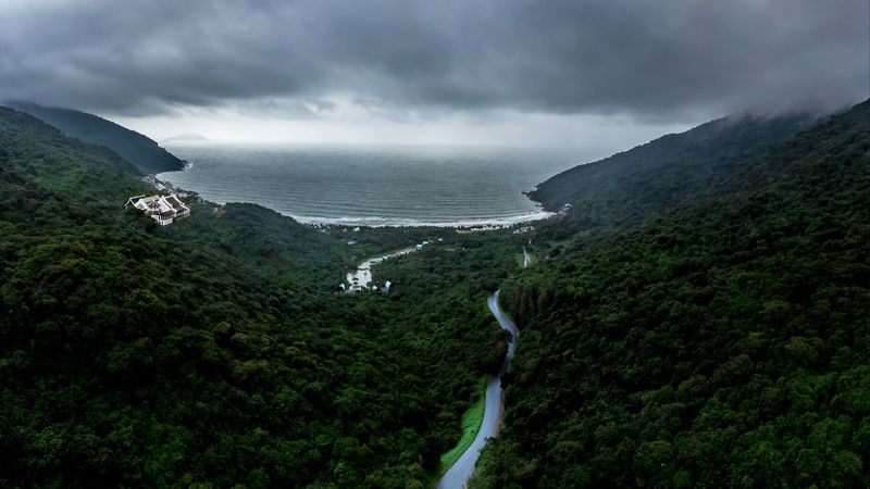 road, fog, aerial view, forest, sky, sea, 4k
