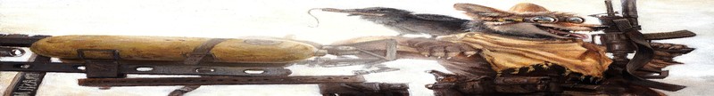 crow, goggles, furry, gun, raven, wasteland, coyote, apocalyptic, dynamite, Anthro, artwork