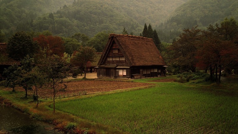 Japan, grass, mountains, nature, landscape, cabin, forest