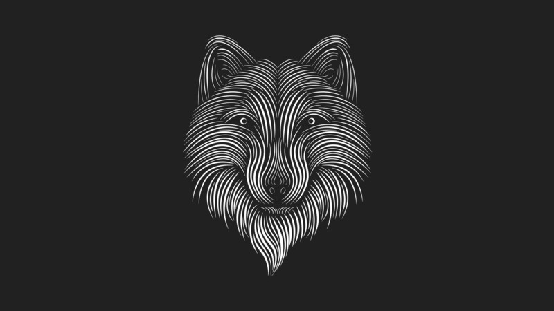 wolf, illustration, dark