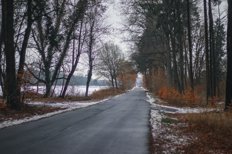 landscape, nature, winter, snow, forest, trees, Poland, road, field