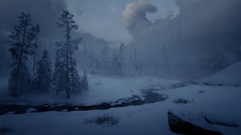 Red Dead Redemption 2, landscape, horse