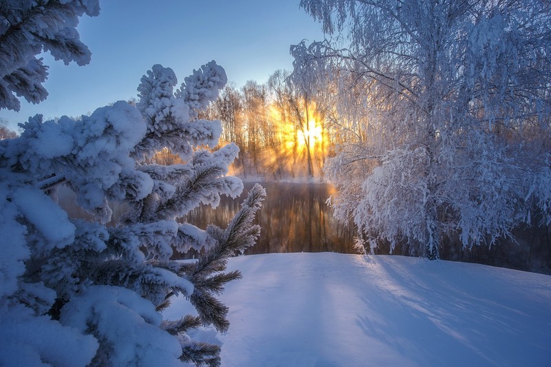 cold, Russia, winter, sunlight, snow, ice, trees, nature