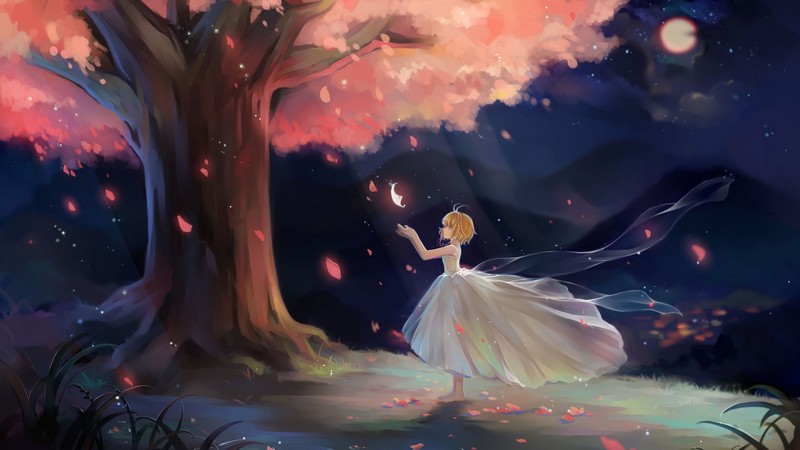 anime, anime girls, Sakura blossom, night, petals, white dress, Tsubasa Reservoir Chronicles, skirt, Flower Dress, hope