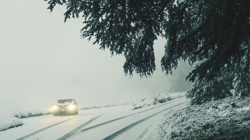 car, lights, snow, fog, branches, winter, 4k