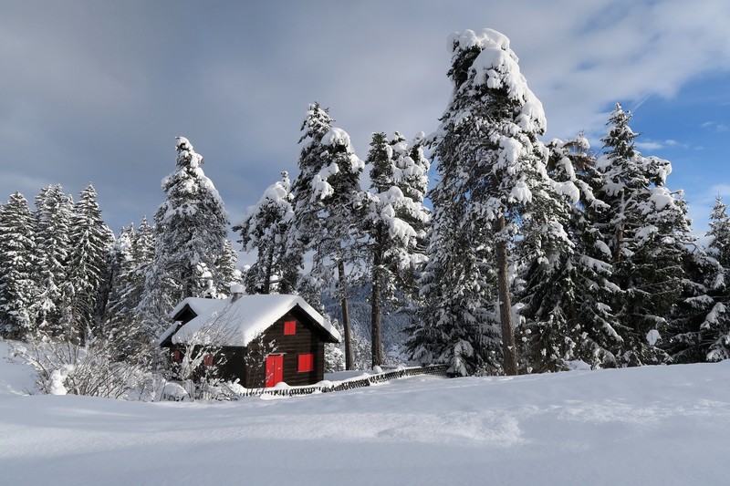 winter, trees, nature, snow, cabin