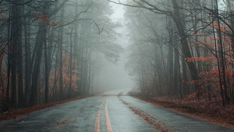 road, fog, forest, autumn, marking, asphalt, 4k