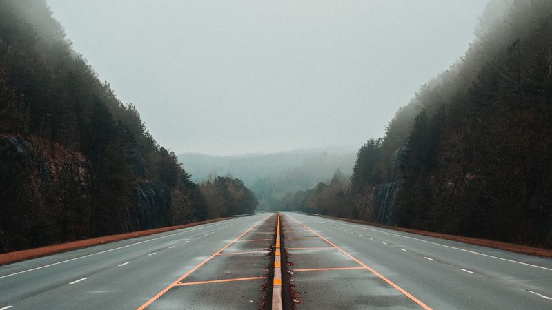 road, fog, marking, trees, lines, 4k