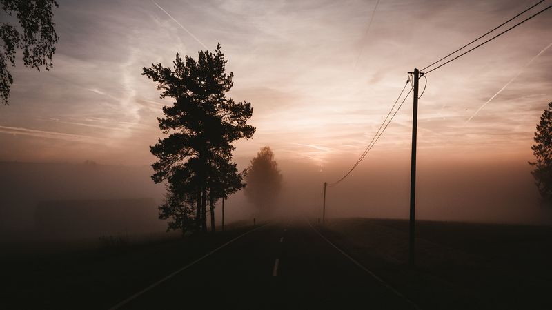 fog, road, trees, twilight, sky, 4k