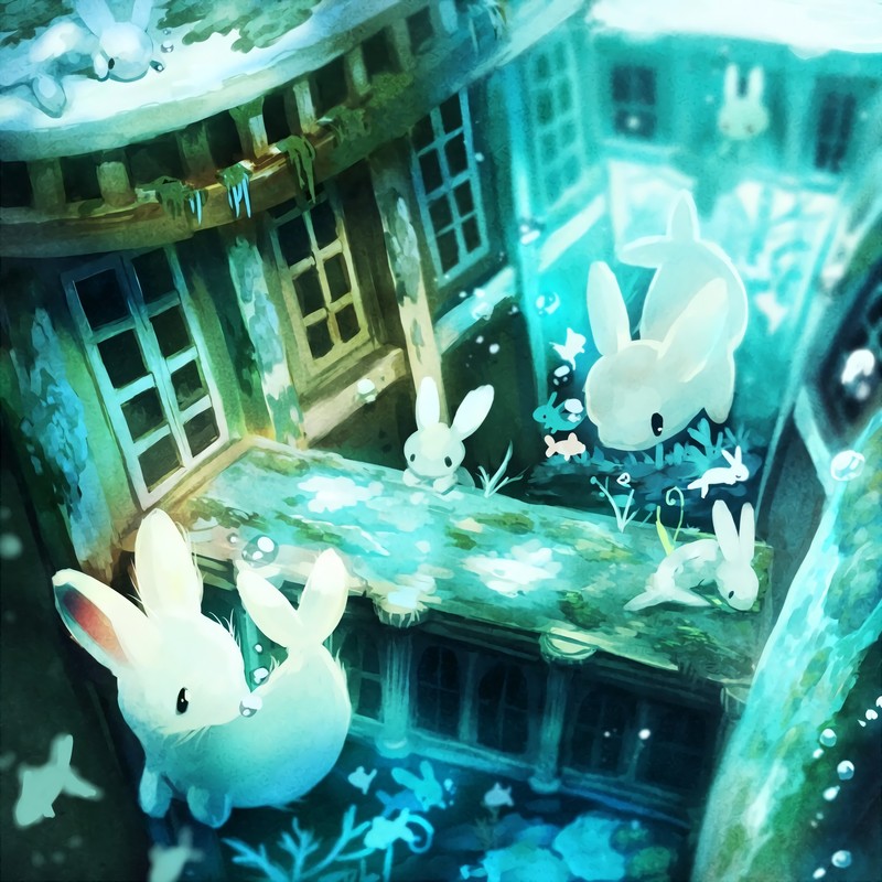 anime, rabbits, high angle
