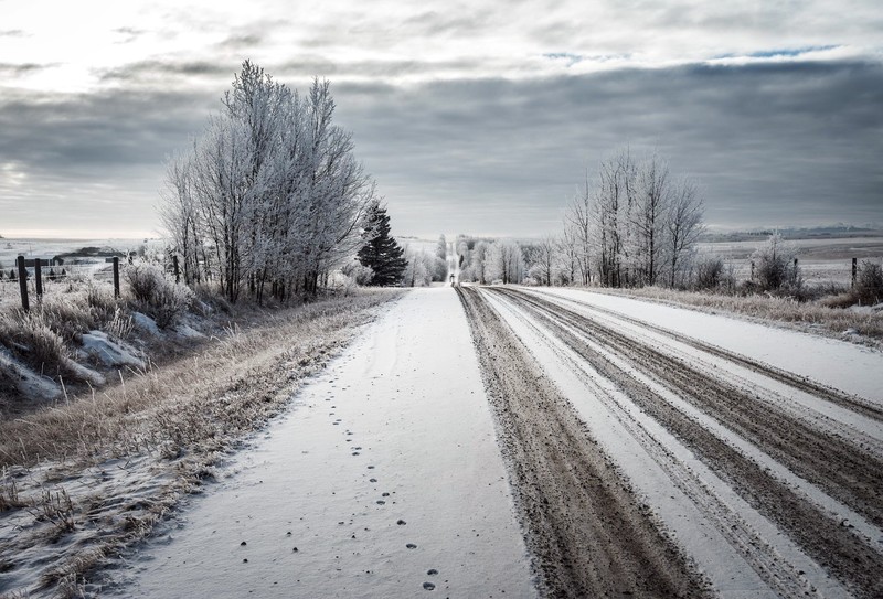 road, winter, snow, cold