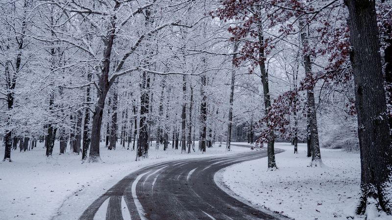 road, turn, snow, winter, trees, 4k
