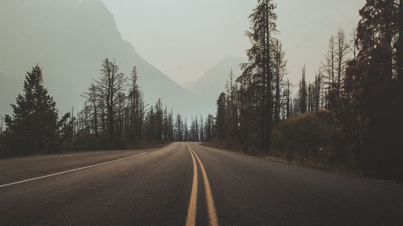 road, marking, fog, trees, sky, turn, 4k