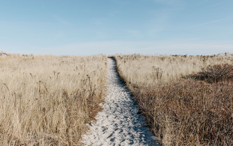 outdoors, grass, pathway