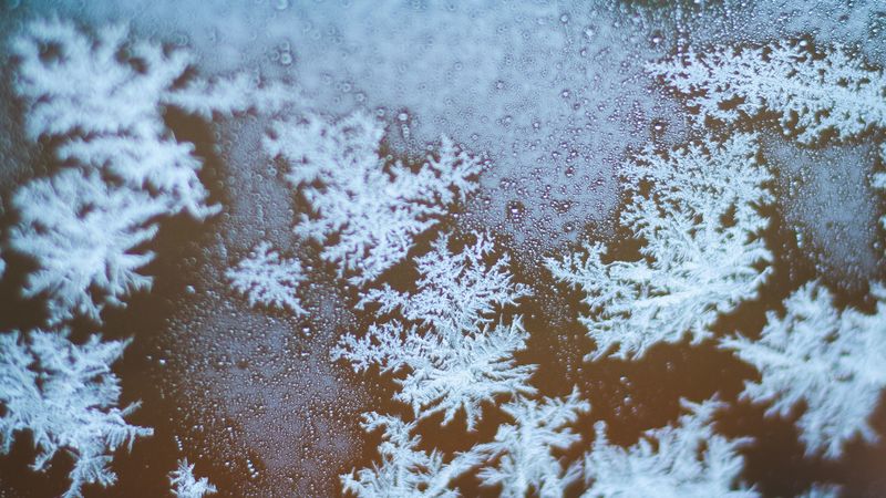 snowflakes, ice, macro, glass, 4k