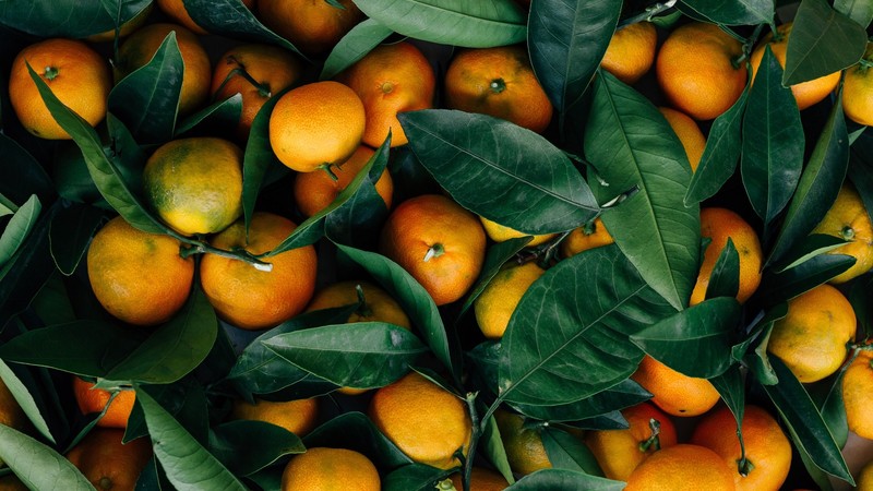 food, fruit, leaves