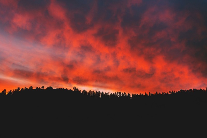 nature, North, clouds, sky, trees, sunset, forest