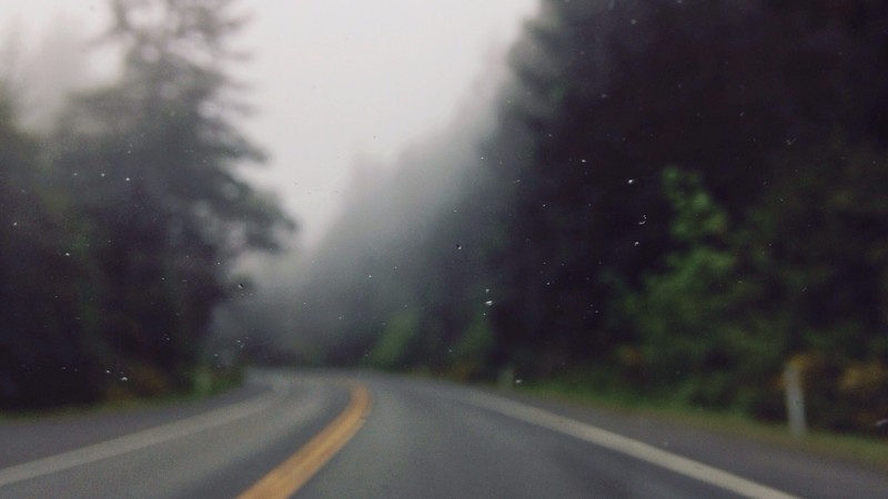 nature, window, road, water drops