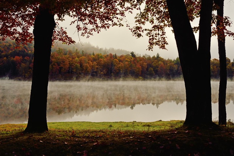 nature, trees, landscape, river, riverside, shore, water
