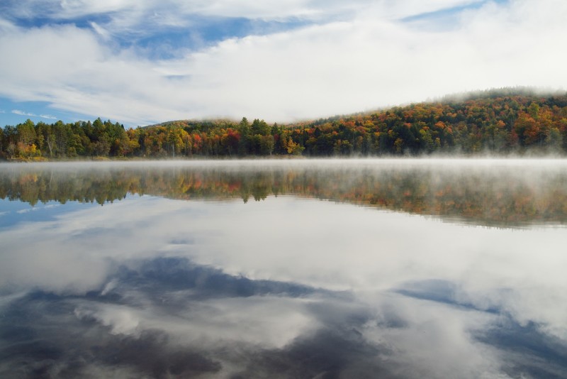 nature, trees, landscape, water, lake, shoreline